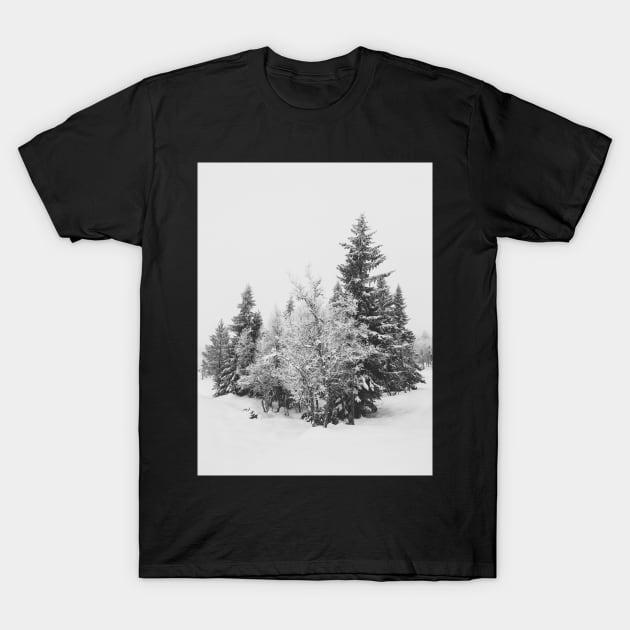 Snow-Covered Fir Trees in Frozen Winter Landscape in Black and White T-Shirt by visualspectrum